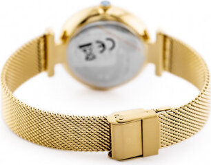 G. Rossi WATCH - G.R12964B-3D1 (zg878b) + BOX G.R12964B-3D1 hind ja info | Naiste käekellad | kaup24.ee