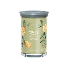 Yankee Candle Aromatinė žvakė Signature tumbler large Sage - Citrus 567 g цена и информация | Подсвечники, свечи | kaup24.ee