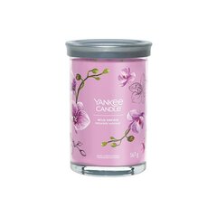 Yankee Candle Aromatinė žvakė Signature tumbler large Wild Orchid 567 g цена и информация | Подсвечники, свечи | kaup24.ee