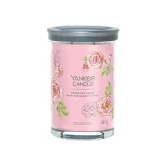 Yankee Candle Aromatinė žvakė Signature tumbler large Fresh Cut Rose s 567 g цена и информация | Подсвечники, свечи | kaup24.ee