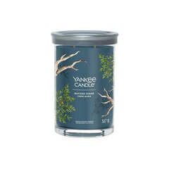 Yankee Candle Aromatinė žvakė Signature tumbler large Bayside Cedar 567 g цена и информация | Подсвечники, свечи | kaup24.ee