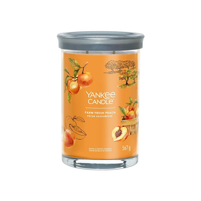 Yankee Candle Aroomiküünal Signature tumbler suur Farm Fresh Peach 567 g цена и информация | Küünlad, küünlajalad | kaup24.ee