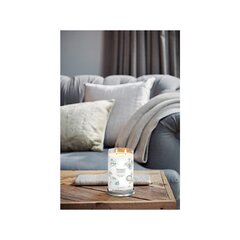 Yankee Candle Aroomiküünal Signature tumbler suur Beebipulber 567 g hind ja info | Küünlad, küünlajalad | kaup24.ee