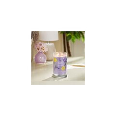 Yankee Candle Aromatinė žvakė Signature tumbler large Lemon Lavender 567 g цена и информация | Подсвечники, свечи | kaup24.ee