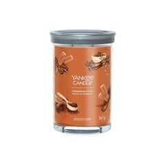 Yankee Candle Aromatinė žvakė Signature tumbler large Cinnamon Stick 567 g цена и информация | Подсвечники, свечи | kaup24.ee