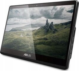 Asus All in One E1600WKAT-BA072W (90PT0391-M00T20) цена и информация | Стационарные компьютеры | kaup24.ee