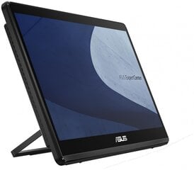 Asus All in One E1600WKAT-BA072W (90PT0391-M00T20) цена и информация | Стационарные компьютеры | kaup24.ee