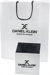 Daniel Klein MEN'S WATCH 12805-6 (zl028b) + BOX цена и информация | Мужские часы | kaup24.ee