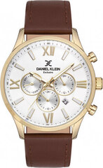 Daniel Klein MEN'S WATCH 12805-6 (zl028b) + BOX цена и информация | Мужские часы | kaup24.ee