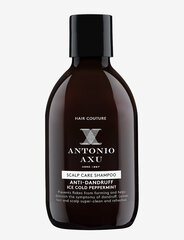 Шампунь от перхоти Antonio Axu Scalp Care Shampoo, 300 мл цена и информация | Шампуни | kaup24.ee