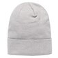 Dockwkr rcyld beanie the north face unisex grey nf0a3fntdyx NF0A3FNTDYX hind ja info | Naiste mütsid ja peapaelad | kaup24.ee