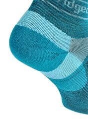 Bridgedale Ultra LtT2 Merino Sport Low - teal 77607-2646 цена и информация | Мужские носки | kaup24.ee