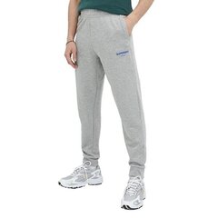 Code core sport jogger superdry for men's grey m7010969a07q M7010969A07Q цена и информация | Мужская спортивная одежда | kaup24.ee