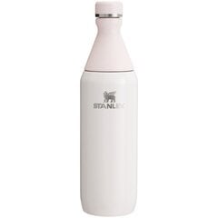 Thermo Bottle The All Day Slim Bottle 0,6 л светло-розовый цена и информация | Термосы, термокружки | kaup24.ee