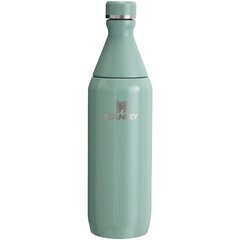 Thermo Bottle The All Day Slim Bottle 0,6 л сине-серый цена и информация | Термосы, термокружки | kaup24.ee