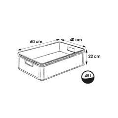 Hoidikast, 45L hind ja info | Hoiukastid ja -korvid | kaup24.ee