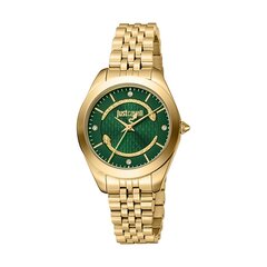 Just Cavalli Time WATCHES Mod. JC1L210M0475 цена и информация | Женские часы | kaup24.ee