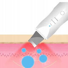 Ультразвуковой скрабер для чистки лица на аккумуляторе, скрабер для лица цена и информация | Приборы для ухода за лицом | kaup24.ee