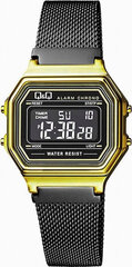 Мужские часы Q&Q Attractive & Fashion M173J028Y цена и информация | Мужские часы | kaup24.ee