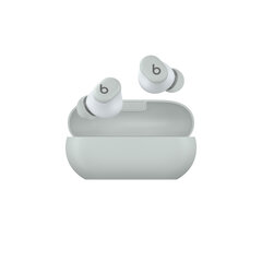 Beats Solo Buds - True Wireless Earbuds - Storm Grey - MUVY3ZM/A hind ja info | Kõrvaklapid | kaup24.ee