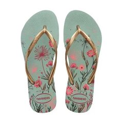 Slim organic clay havaianas naistele green 41328231809 41328231809 hind ja info | Naiste plätud ja sussid | kaup24.ee