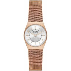 Skagen Denmark WATCHES Mod. SKW3035 цена и информация | Мужские часы | kaup24.ee