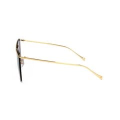 Ana Hickmann Ladies' Sunglasses Ana Hickmann HI3085 S7260067 hind ja info | Naiste päikeseprillid | kaup24.ee