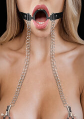 Suupall nibuklambritega Shots O-Ring Ball Gag hind ja info | BDSM ja fetish | kaup24.ee