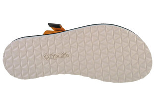 klapki damskie Columbia W Alava Slide Sandal 2027331705 58534-F hind ja info | Naiste plätud ja sussid | kaup24.ee