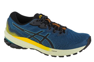 buty do biegania męskie ASICS GT-1000 11 TR 1011B573-750 61150-49 цена и информация | Кроссовки для мужчин | kaup24.ee