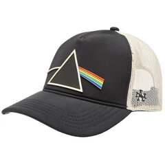 czapka z daszkiem męska American Needle Riptide Valin Pink Floyd Cap SMU706A-PFLOYD 61247-uniw hind ja info | Meeste sallid, mütsid ja kindad | kaup24.ee