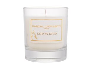 Coton Divin Scented Candle hind ja info | Küünlad, küünlajalad | kaup24.ee