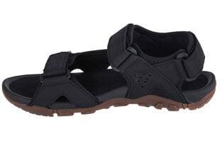 sandały męskie 4F Sandals 4FSS23FSANM018-20S 60536-P цена и информация | Мужские шлепанцы, босоножки | kaup24.ee