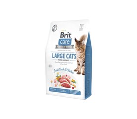 Brit Care Cat GF Large Power&Vitality сухой корм для кошек крупных пород, 2 кг. цена и информация | Сухой корм для кошек | kaup24.ee