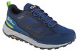 buty trekkingowe męskie Jack Wolfskin Terraventure Texapore Low M 4051621-1274 60924-45 цена и информация | Spordi- ja vabaajajalatsid meestele | kaup24.ee