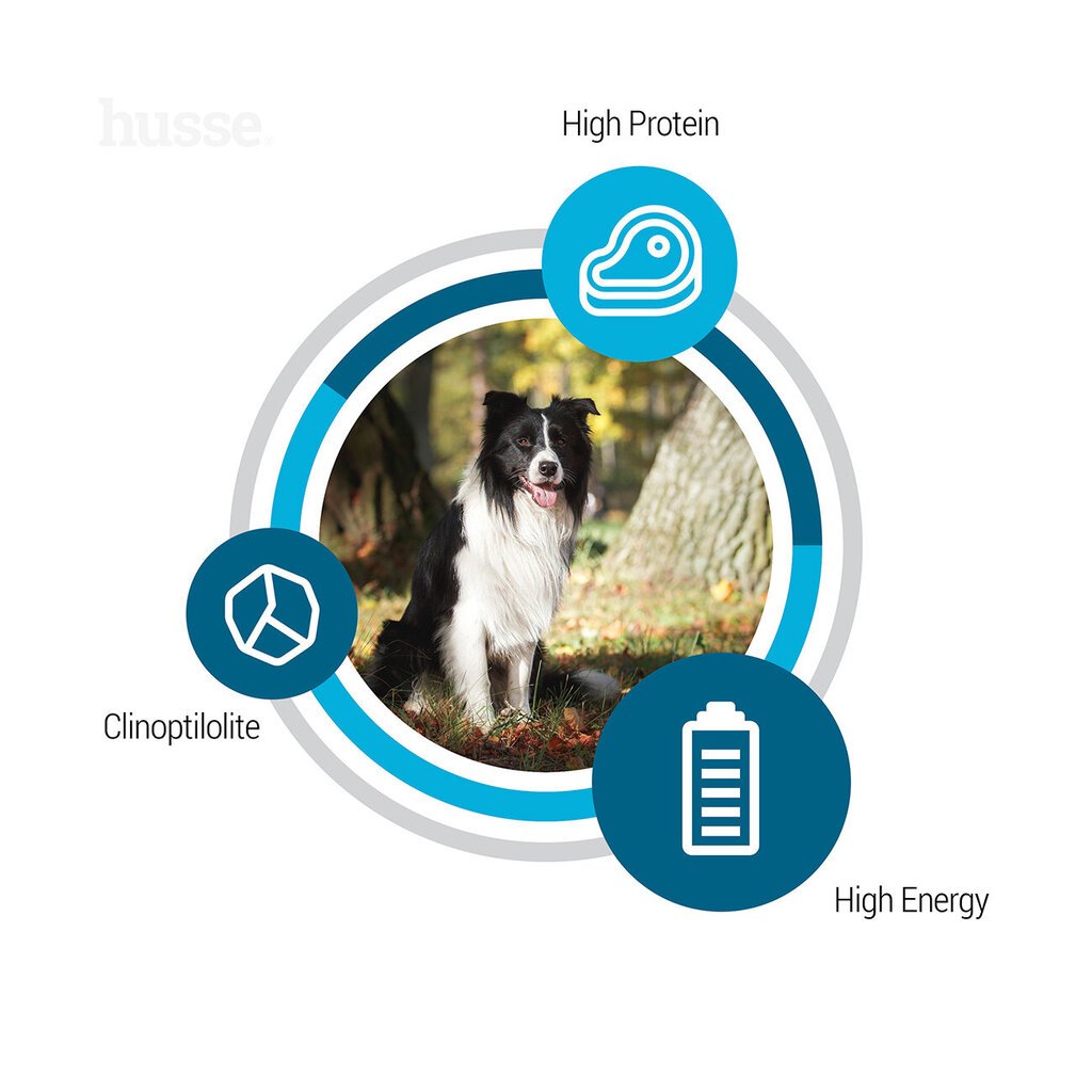 Husse Optimal, täisväärtuslik ja tasakaalustatud toit aktiivsetele koertele, 12 kg hind ja info | Kuivtoit koertele | kaup24.ee