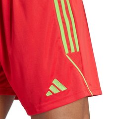 Spodenki męskie adidas Tiro 23 League czerwone IB8090 59840-283 hind ja info | Meeste spordiriided | kaup24.ee