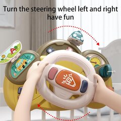 Игрушечный руль Driving Simulation цена и информация | Игрушки для малышей | kaup24.ee