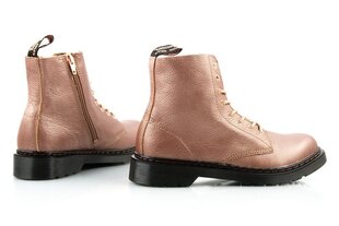 Dr Martens Smooth 1490 naiste kingad, metallik nahk цена и информация | Женские сапоги | kaup24.ee