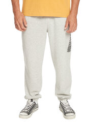 Quiksilver Graphic Joggers meeste dressipüksid, hall hind ja info | Meeste püksid | kaup24.ee