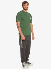 Quiksilver The Original Jogger meeste dressipüksid, hall цена и информация | Мужская спортивная одежда | kaup24.ee