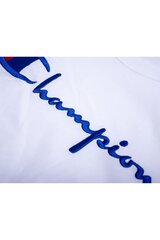 Champion Big Script Logo meeste puuvillane logoga T-särk hind ja info | Meeste T-särgid | kaup24.ee