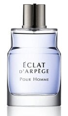 Lanvin Eclat D´Arpege Pour Homme EDT meestele 50 ml hind ja info | Meeste parfüümid | kaup24.ee