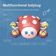 Развивающая игрушка для малышей Ladybag цена и информация | Игрушки для малышей | kaup24.ee