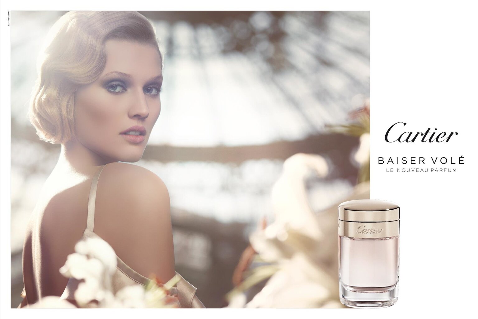 Cartier Baiser Vole EDP naistele 50 ml hind ja info | Naiste parfüümid | kaup24.ee