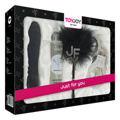 Комплект секс игрушек Luxe Box No. 5 Toy Joy цена и информация | Наборы секс-товаров | kaup24.ee
