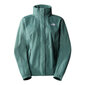 W quest jacket the north face nf00a8bai0f moterims žalioji naistele roheline NF00A8BAI0F цена и информация | Naiste joped ja parkad | kaup24.ee