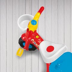 DOLU Fisher Price minu esimene kolmerattaline jalgratas 18137 hind ja info | Kolmerattalised jalgrattad | kaup24.ee