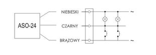 Автоматический контроллер лестницы ASO-24 10A 24V AC цена и информация | Выключатели, розетки | kaup24.ee