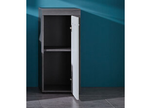 Шкаф в ванную Trendteam Miami, белый / серый цена и информация | Шкафчики для ванной | kaup24.ee